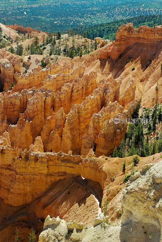 犹他州布莱斯峡谷国家公园的hoodoo和Rock Pinnacles